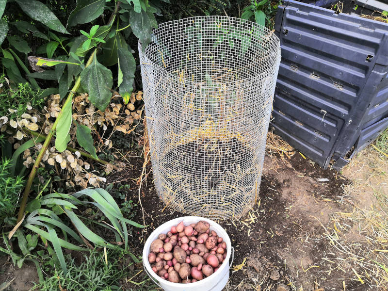 Rosara Turm nach der Ernte