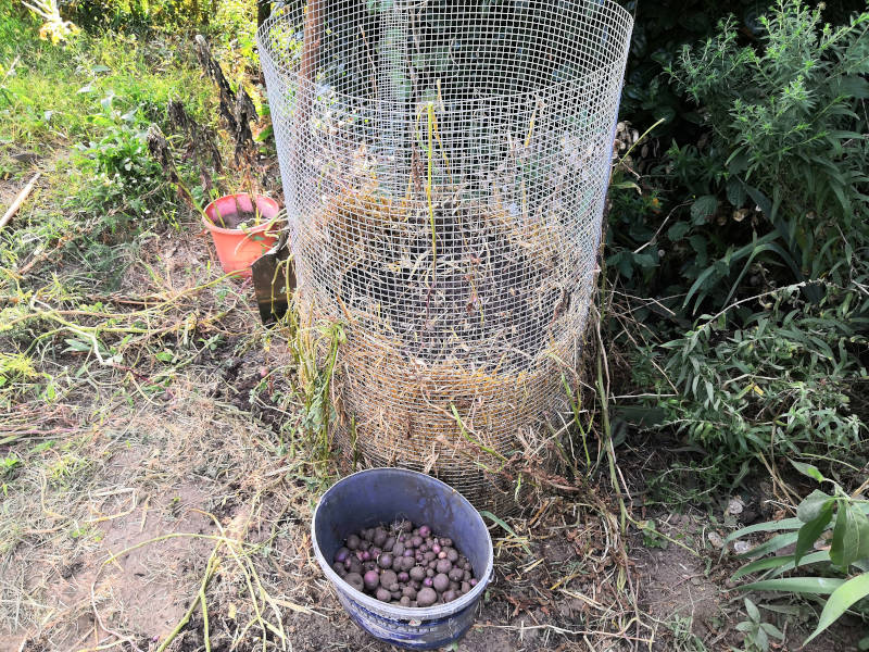 Odenwälder Blaue Turm nach der Ernte