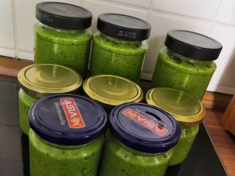 Pesto abgefüllt