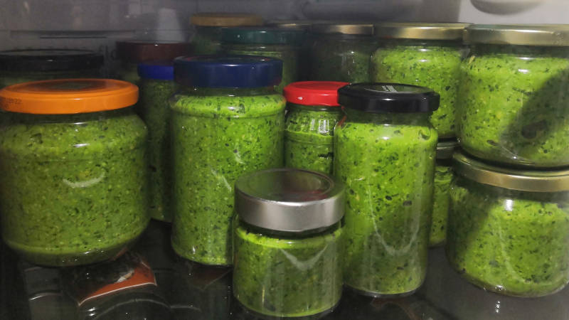 Pesto abgefüllt